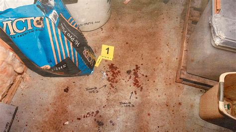 paul murdaugh crime scene photo|Photo Gallery: See evidence photos from Alex Murdaughs。